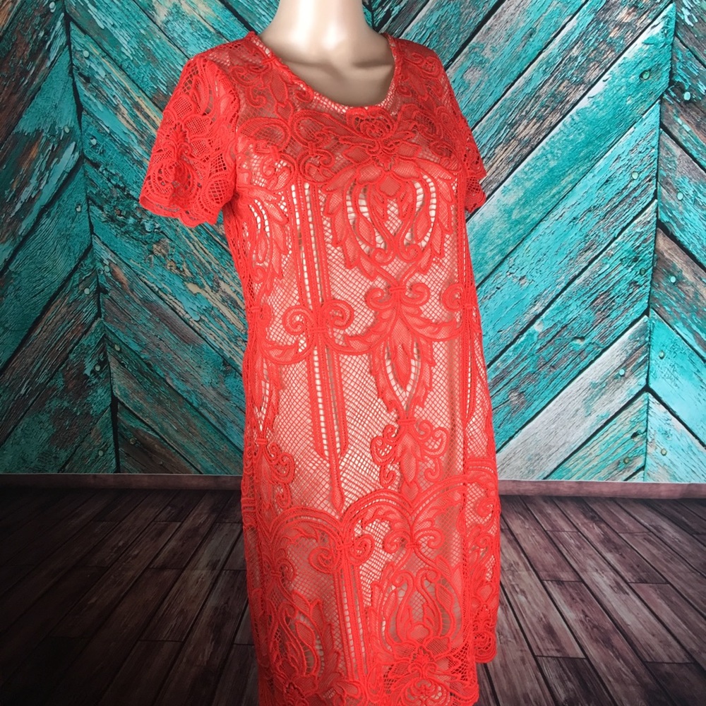 Margot Lace Dress From Stitch Fix - Picture 4 of 8